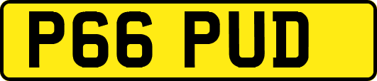 P66PUD
