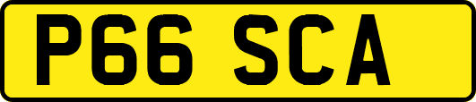 P66SCA