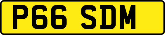 P66SDM