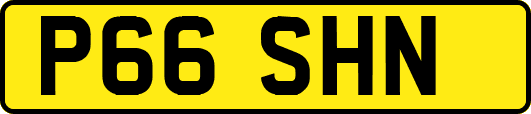 P66SHN