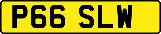 P66SLW