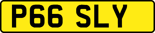 P66SLY