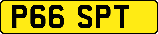 P66SPT