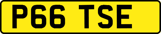 P66TSE