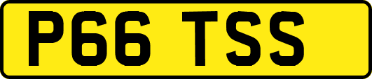 P66TSS