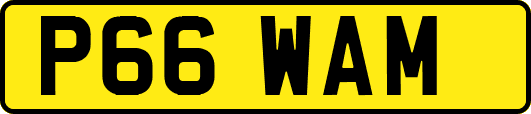 P66WAM