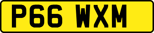 P66WXM