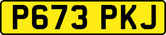 P673PKJ