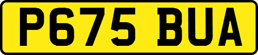 P675BUA