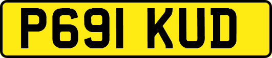 P691KUD