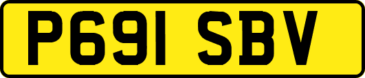 P691SBV
