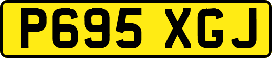P695XGJ