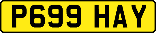 P699HAY