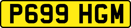P699HGM