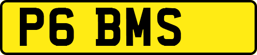 P6BMS