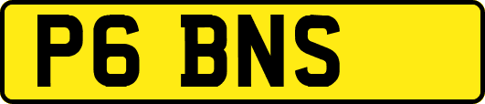 P6BNS