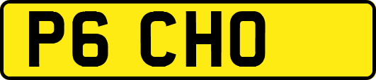 P6CHO