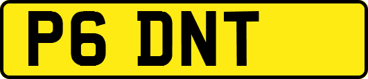 P6DNT