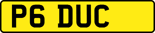 P6DUC