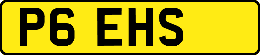 P6EHS