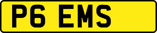 P6EMS