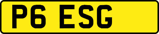 P6ESG