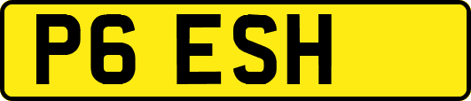 P6ESH