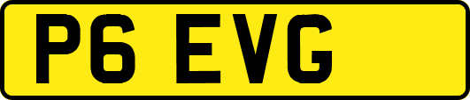 P6EVG