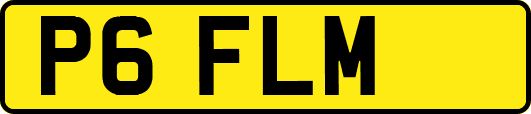 P6FLM