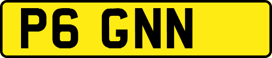 P6GNN