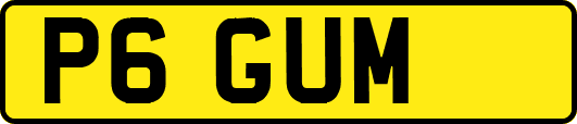 P6GUM