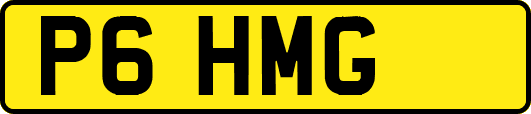 P6HMG