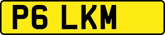 P6LKM