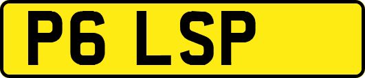 P6LSP