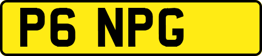 P6NPG