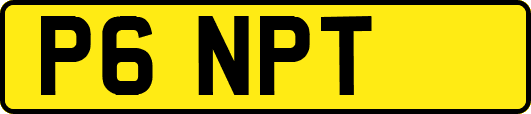 P6NPT