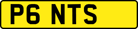 P6NTS