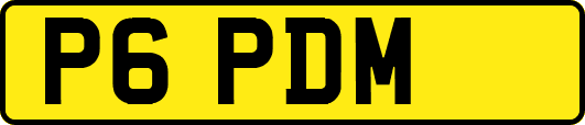 P6PDM
