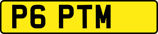 P6PTM
