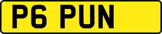 P6PUN