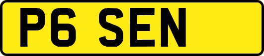 P6SEN