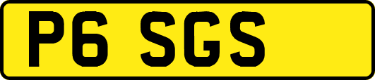 P6SGS