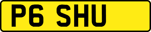 P6SHU