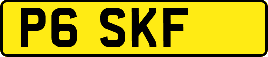P6SKF
