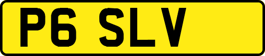 P6SLV