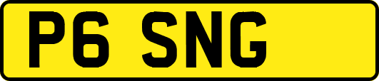P6SNG