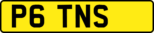 P6TNS
