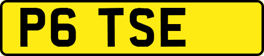 P6TSE