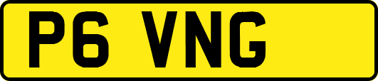 P6VNG