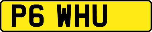 P6WHU